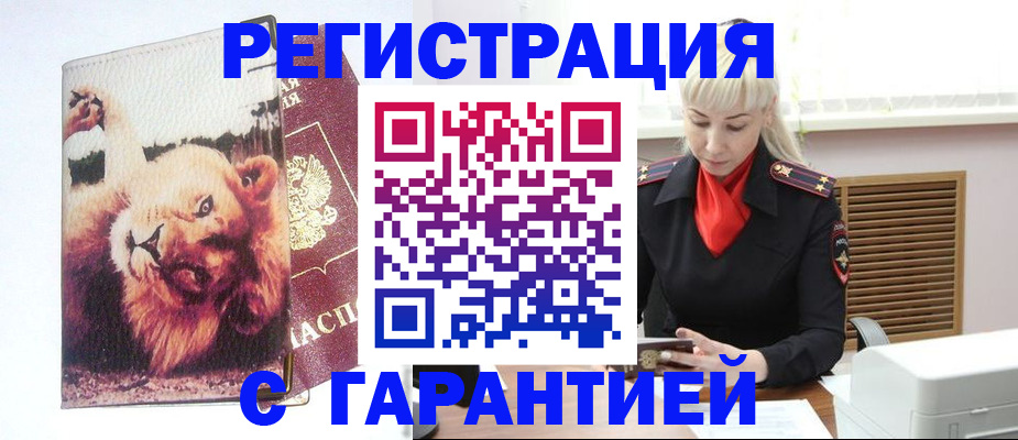 прописка от собственника в Камышлове